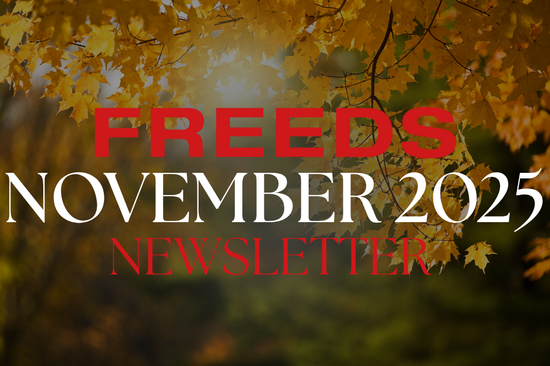 November Newsletter