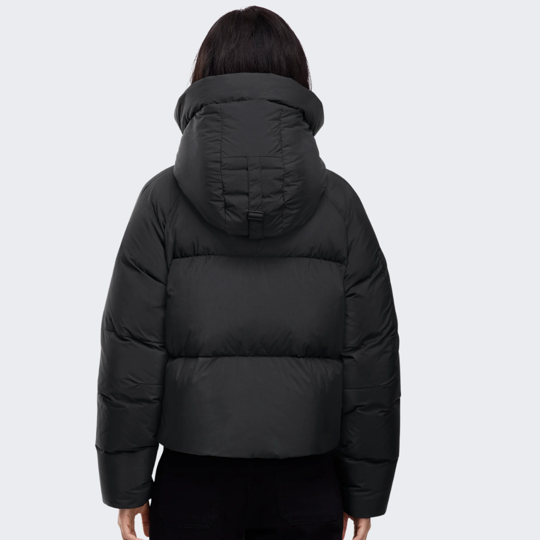 Canada Goose - Chilliwack Puffer