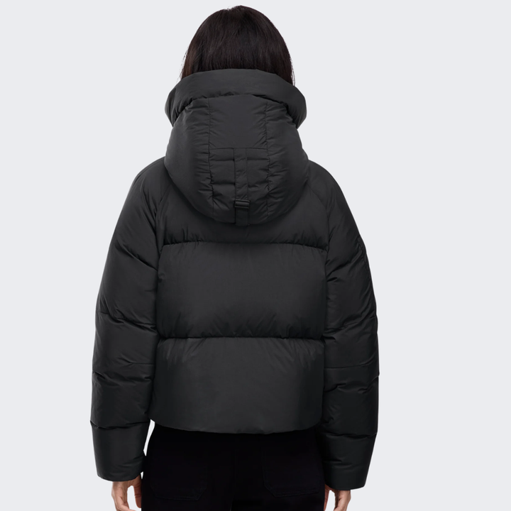 Canada Goose - Chilliwack Puffer