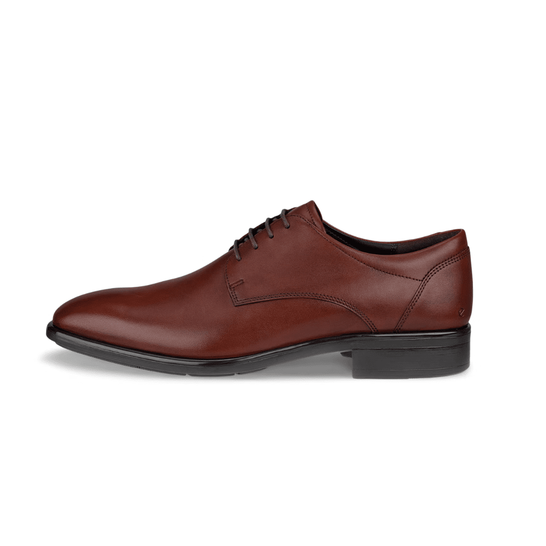 ECCO Citytray Men's Leather Derby Shoe