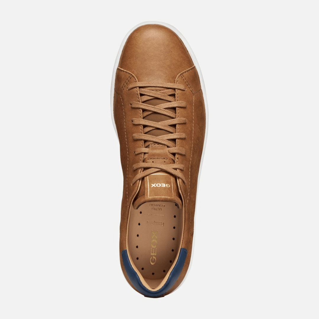 Geox Spherica Ecub-1 B Man