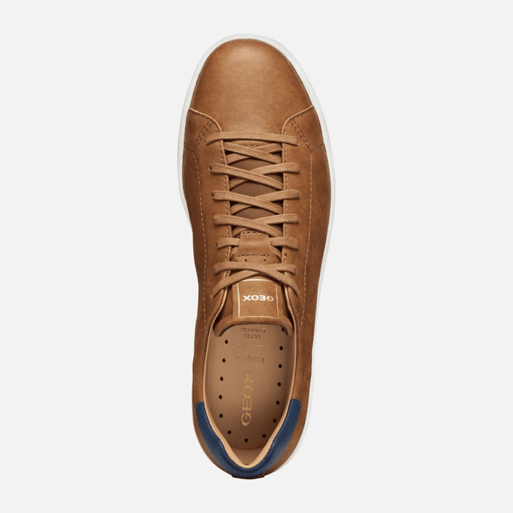 Geox Spherica Ecub-1 B Man